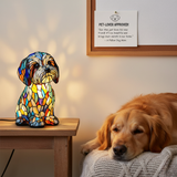 Sam | Magic Lamp