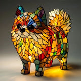 Simba | Pomerània Resplendor Solar